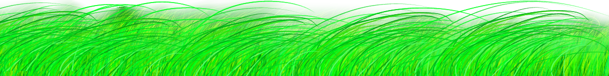 pokemon-go-felixstowe-grass